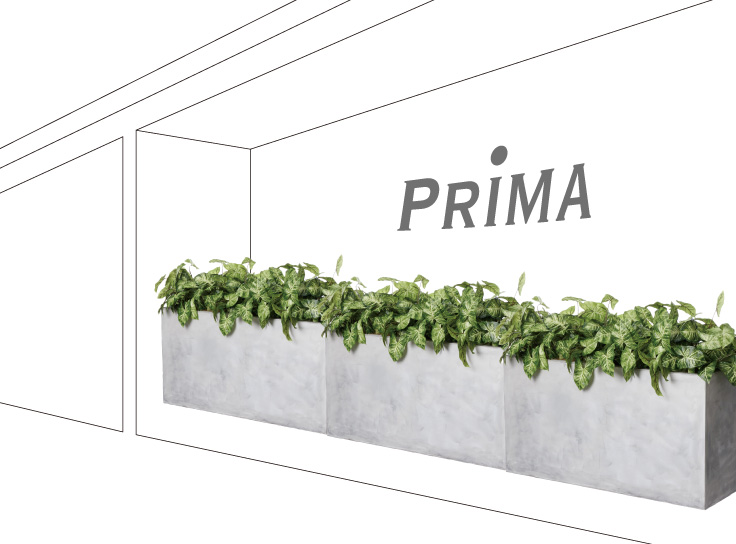 エントランスの植栽とグリーンパーテーションのレイアウト事例（オフィス・店舗の室内植栽）