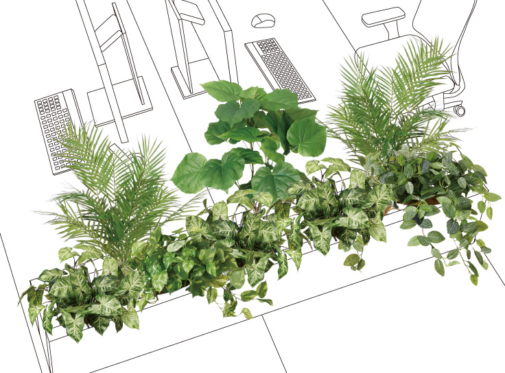 5号インナーポットの卓上植栽例、カフェやオフィスの目隠し