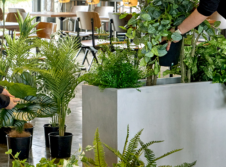 インナーポットのバリエーションと植栽アイデア、オフィスや店舗向け