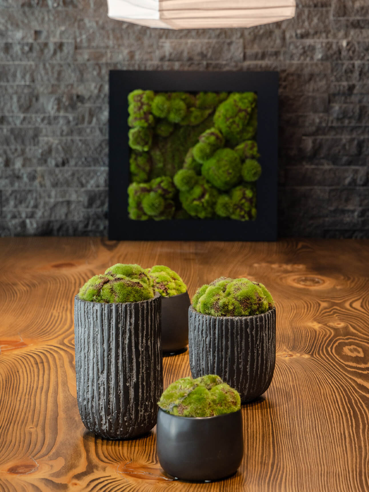 テーブルに苔盆や苔フレーム